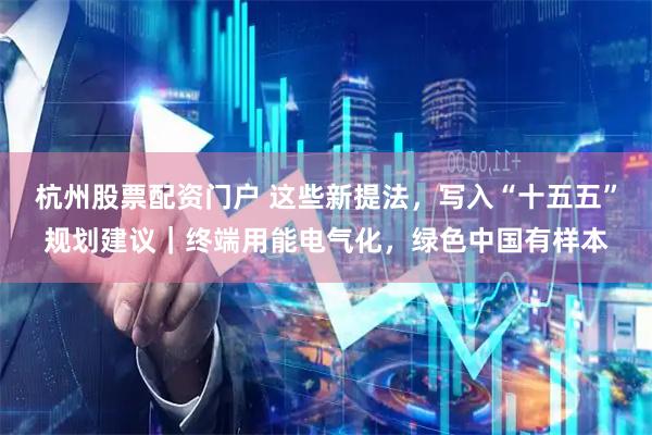 杭州股票配资门户 这些新提法,写入“十五五”规划建议|终端用能电气化,绿色中国有样本