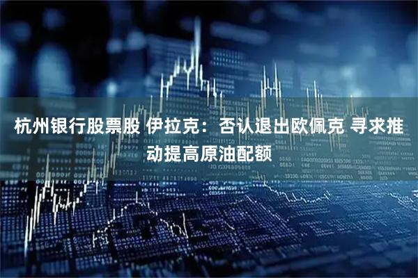 杭州银行股票股 伊拉克：否认退出欧佩克 寻求推动提高原油配额