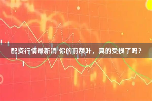 配资行情最新消 你的前额叶，真的受损了吗？